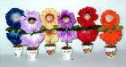 Flower Pot Girls