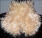 Fun Fur Champagne keyhole scarf